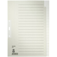 Register Leitz 6096 - A4 grau blanko 20-teilig Recyclingpapier 100 g/m&sup2;