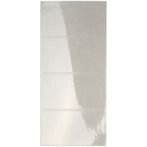 Schutzfolienschild Leitz Orgacolor 6641 - auf Streifen 72 x 39 mm transparent selbstklebend Pckg/100