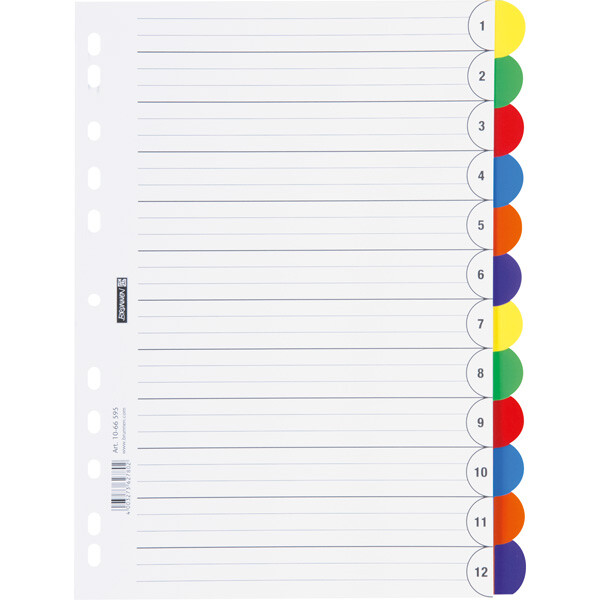 Ringbuchregister Brunnen Colour Code 66595 - A4 farbig sortiert Register 12-teilig PP-Folie