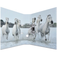 Motivordner Herma Animals 7164 - A4 315 x 285 mm Pferde 70 mm breit Hebelmechanik Folienkarton