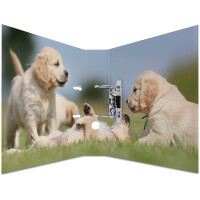 Motivordner Herma Animals 7165 - A4 315 x 285 mm Hunde 70 mm breit Hebelmechanik Folienkarton