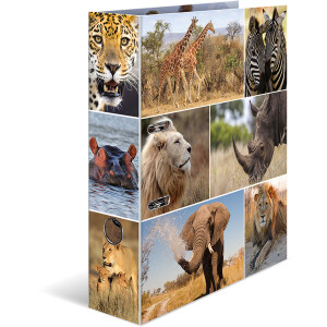 Motivordner Herma Animals 7168 - A4 315 x 285 mm Afrika Tiere 70 mm breit Hebelmechanik Folienkarton