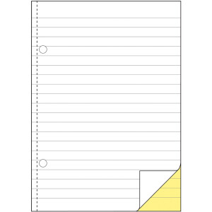 Durchschreibebuch Avery Zweckform 1729 - A5 149 x 210 mm wei&szlig;/gelb 2 x 40 Blatt selbstdurchschreibend