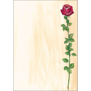 Motivpapier sigel DP695 - A4 Rose Bloom f&uuml;r alle...