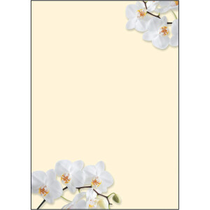 Motivpapier sigel DP904 - A4 White Orchid für alle...