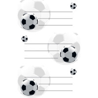 Schulbuchetikett Avery Zweckform 59245 - auf Bogen 78 x 120 mm Fußball permanent für Handbeschriftung Papier Pckg/6
