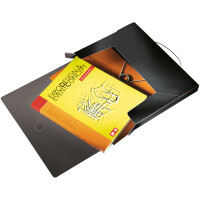 Ablagebox Leitz Solid 4568 - A4 330 x 250 mm schwarz 30 mm Rückenbreite bis 250 Blatt PP-Folie