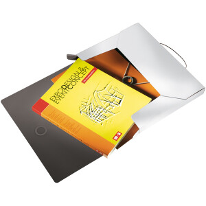 Ablagebox Leitz Solid 4568 - A4 330 x 250 mm weiß 30 mm Rückenbreite bis 250 Blatt PP-Folie