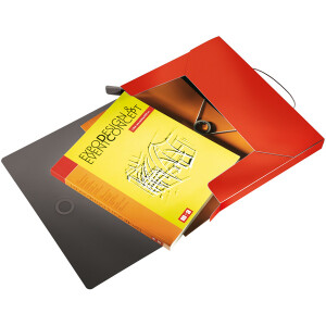 Ablagebox Leitz Solid 4568 - A4 330 x 250 mm hellrot 30 mm Rückenbreite bis 250 Blatt PP-Folie