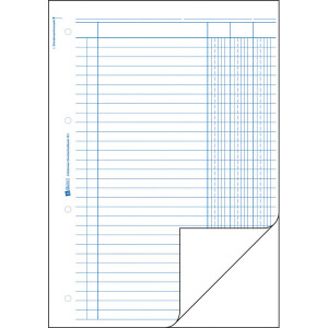 Kolonnenbuch Avery Zweckform 451 - A4 210 x 297 mm wei&szlig; 2 x 50 Blatt 3 Kolonnen mit Blaupapier
