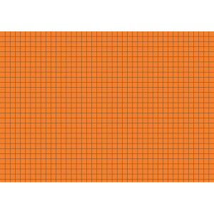 Karteikarte Brunnen 22502 - A5 148 x 210 mm orange kariert Pckg/100