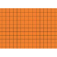 Karteikarte Brunnen 22502 - A5 148 x 210 mm orange kariert Pckg/100