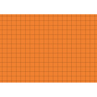 Karteikarte Brunnen 22702 - A7 74 x 105 mm orange kariert Pckg/100