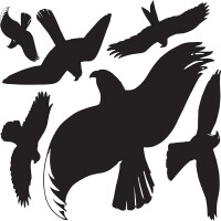 Warnvogel Avery Zweckform 4485 - schwarz ablösbar wetterfest Pckg/6