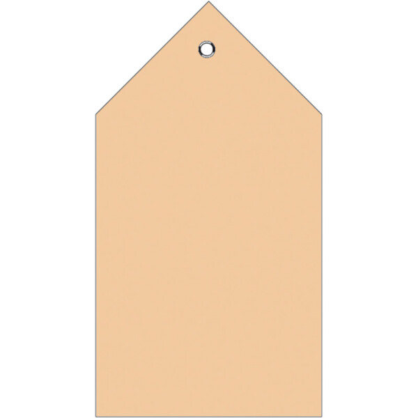 Anhängezettel Herma 6070 - Einzeletikett 80 x 150 mm braun nicht klebend Kunststofföse Karton für Handbeschriftung Pckg/250