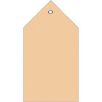 Anhängezettel Herma 6070 - Einzeletikett 80 x 150 mm braun nicht klebend Kunststofföse Karton für Handbeschriftung Pckg/250