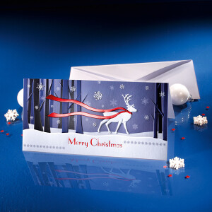 Motivkarte Weihnachten sigel DS017 - DIN Lang Winter inkl. Umschläge Glanzkarton 220 g/m² Pckg/10+10