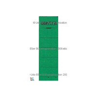 Ordnerrückenschild centra 521105 - 61 x 192 mm grün breit / kurz für Handbeschriftung Pckg/10