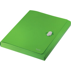 Ablagebox Leitz Recycle 4623 - A4 330 x 254 mm grün...